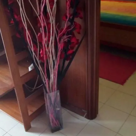 Apartamento Casa Riscas Verdes